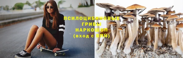 Альфа ПВП Дмитров